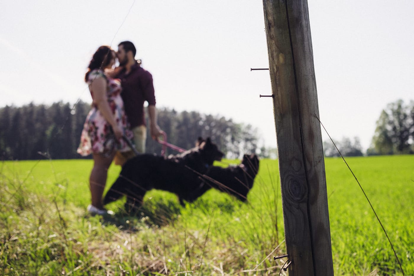 Un couple accompagné de deux chiens, les pensionnaires types d'une pension familiale