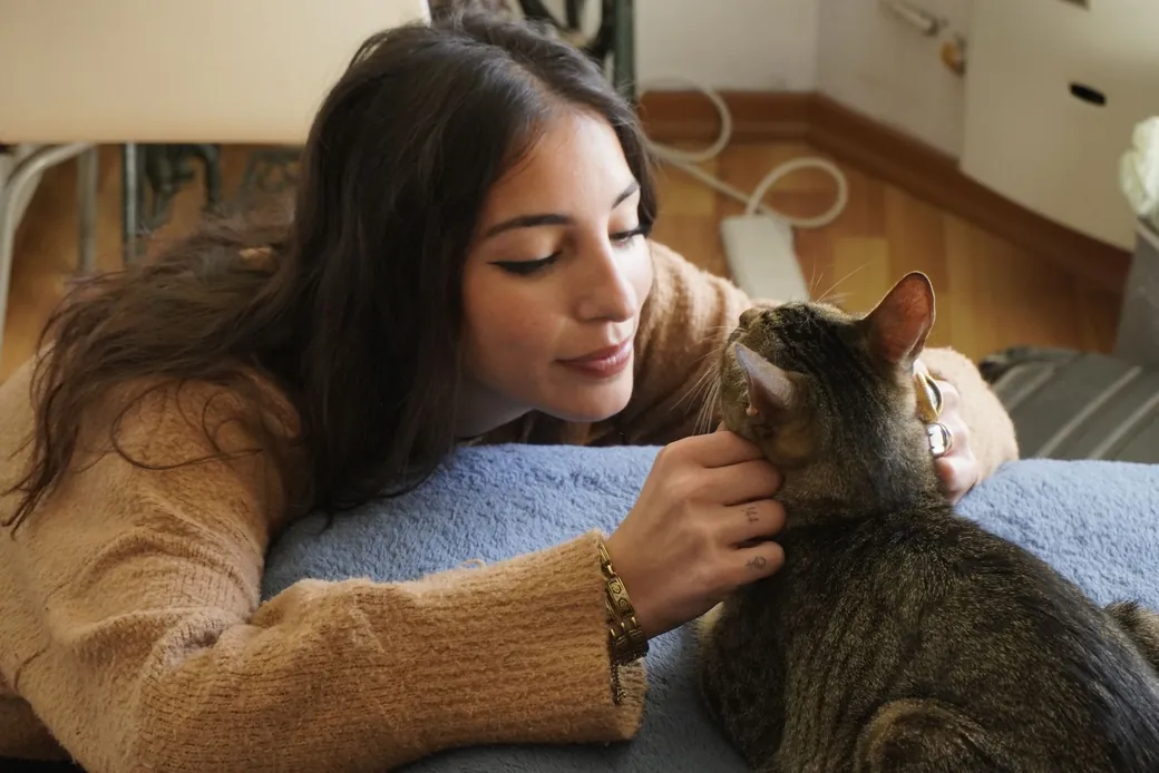 Une personne tient doucement un chat dans ses bras pendant la visite d'une chatterie, geste de soin et de réassurance