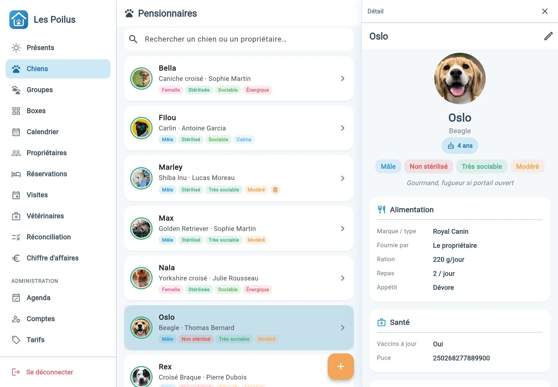 Fiche d'un chien : photo, alimentation, santé, propriétaire et séjours